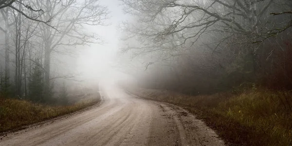 暗い常緑の森を介して農村部の道路 パスウェイ 歩道巻き 強力な木 大気の秋の風景 ゴシック 謎の概念 — ストック写真