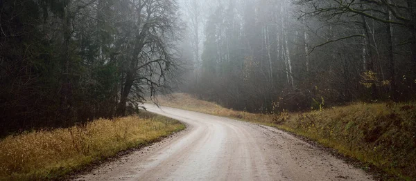 Winding Rural Road Pathway Walkway Dark Evergreen Forest Mighty Trees — Stock Photo, Image