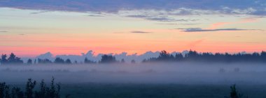 Gün doğumunda sisli bir kır arazisi. Arka planda ağaç siluetleri var. Saf altın sabah güneşi. Destansı kızıl bulutlar. Idyllic kırsal kesim. Sanat, masal, resim, tek boynuzlu at renkleri