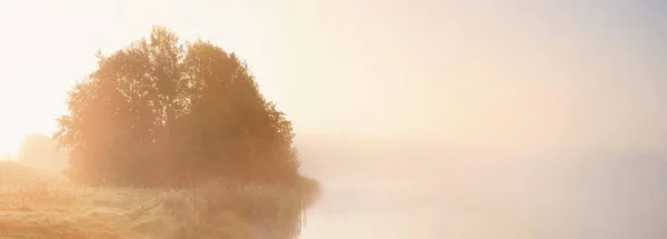 Peisaj Pitoresc Lacului Forestier Într Ceață Albă Groasă Reflecții Asupra — Fotografie, imagine de stoc