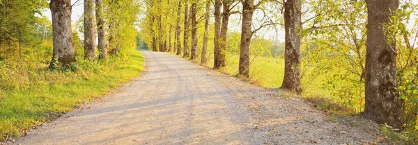 Uma Estrada Rural Vazia Beco Através Das Árvores Caducas Coloridas — Fotografia de Stock