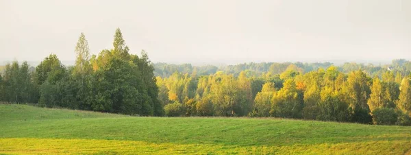 Zielone Pole Uprawne Las Zachodzie Słońca Ciągnik Śledzi Zbliżenie Idylliczna — Zdjęcie stockowe