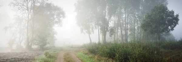 Parcours Travers Forêt Rivage Rivière Séchage Dans Épais Brouillard Blanc — Photo