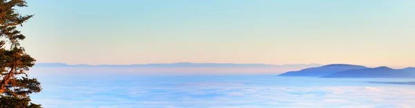 Pittoresk Panoramautsikt Över Vintergröna Skogskullarna Ett Moln Dimma Vid Solnedgången — Stockfoto