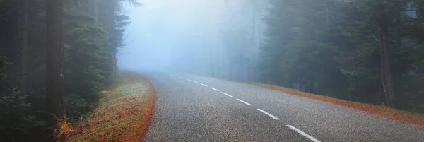 Asphalt Road Highway Evergreen Pine Forest Fog French Alsace France — Stock Photo, Image