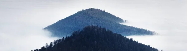 Malerische Panorama Luftaufnahme Der Immergrünen Waldhügel Einer Nebelwolke Bei Sonnenuntergang — Stockfoto