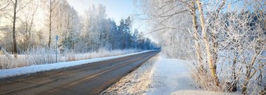 Bir kar fırtınasından sonra ormanda boş bir otoyol (yeni asfalt yol). Açık kış günü. Noel tatilleri, yerel turizm, Avrupa 'da tecrit. Sürüş, lojistik, uzak yerler