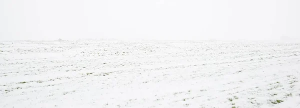 Panoramautsikt Över Snötäckt Jordbruksmark Markstruktur Begreppet Vinterlandskap Isöken Natur Avlägsna — Stockfoto