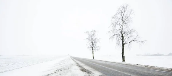 吹雪の中で雪に覆われたフィールドを介してカントリーロード 濃い白い霧 背景には孤独な木 大気の冬の風景 氷の砂漠 — ストック写真