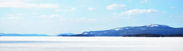 Giovani Pini Lago Ghiacciato Dopo Una Bufera Neve Una Giornata — Foto Stock