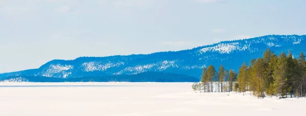 눈보라가 후어린 소나무들과 얼어붙은 산봉우리가 목가적 온난화 핀란드 라플란드 — 스톡 사진