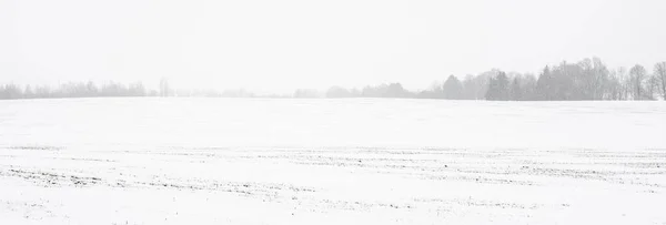 Vista Panoramica Del Campo Agricolo Innevato Tessitura Del Terreno Concetto — Foto Stock