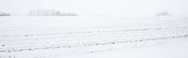 Panoramiczny Widok Pokrytego Śniegiem Pola Rolniczego Tekstury Gleby Koncepcja Zimowy — Zdjęcie stockowe