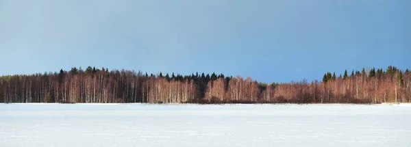 落日的时候 冰封的湖泊和白雪覆盖的松树林 冰的质感戏剧化的天空柔和的阳光宜人的冬季场景 环境保护 气候变化 生态旅游 圣诞节 — 图库照片