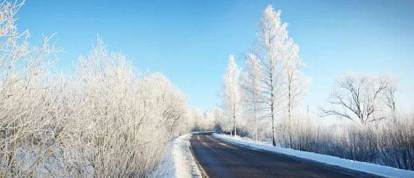 Empty Highway New Asphalt Road Forest Blizzard Clear Winter Day — Stock Photo, Image
