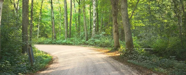 Yeşil Ağaçların Arasından Geçen Toprak Bir Yol Akşam Güneşi Gölgeler — Stok fotoğraf