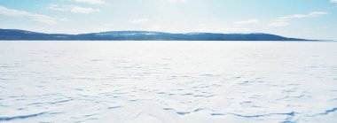Genç çam ağaçları ve açık bir günde kar fırtınasından sonra donmuş bir göl. Arka planda dağ zirveleri var. Idyllic kış manzarası. Ekoloji, çevre, iklim değişikliği, küresel ısınma. Finlandiya, Laponya