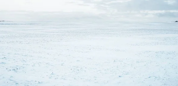 Vista Panorâmica Campo Coberto Neve Após Uma Nevasca Pôr Sol — Fotografia de Stock