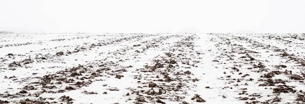 Vista Panorâmica Campo Agrícola Coberto Neve Textura Solo Conceito Paisagem — Fotografia de Stock