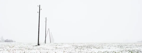 暴风雪期间 雪覆盖了田野和电线 概念冬季景观 偏远地区 基础设施 全景视图 — 图库照片