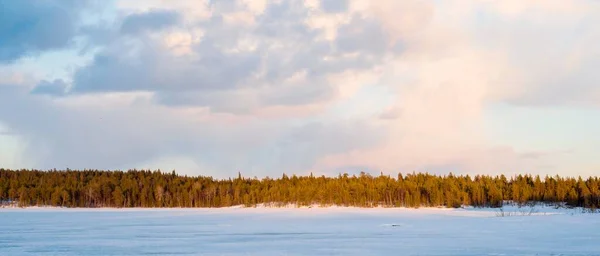 Zmrzlé Jezero Zasněžený Borový Les Při Západu Slunce Ledová Textura — Stock fotografie