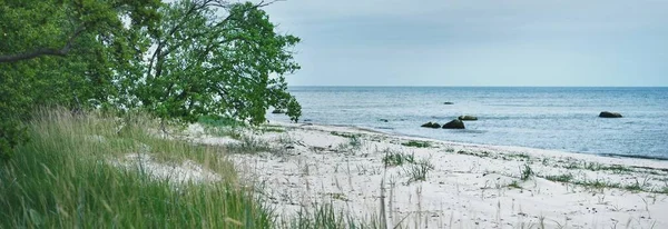 Oostzee Een Zonnige Dag Ruhnu Eiland Estland Zomervakantie Reizen Milieubehoud — Stockfoto
