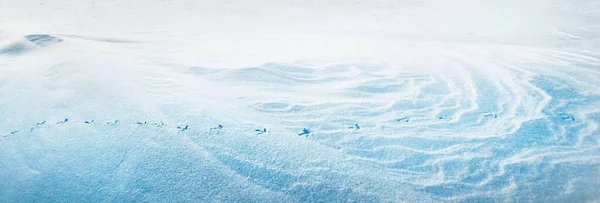 Taze Kar Dokusu Gün Batımında Kar Fırtınası Sonrası Panoramik Manzara — Stok fotoğraf