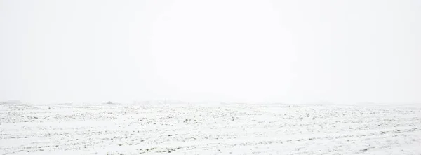 雪のパノラマビューで覆われた農業分野 土壌の質感 概念冬の風景 氷の砂漠 遠隔地 オフロード 気候変動 — ストック写真