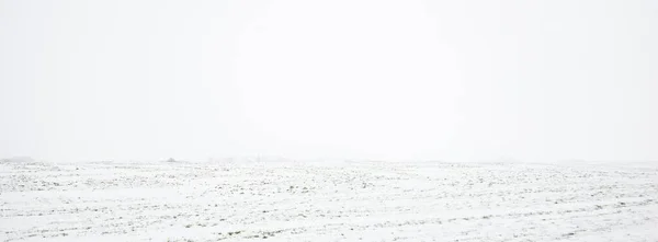 覆盖雪地的农田全景 土壤质地 概念冬季风景 边远地区 越野车 气候变化 — 图库照片