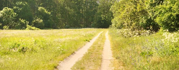 Caminho Através Campo Verde País Para Floresta Dia Verão Limpo — Fotografia de Stock