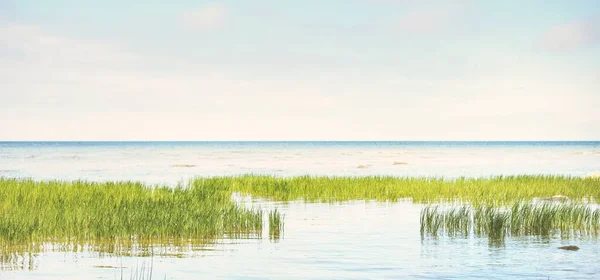 Güneşli Bir Günde Baltık Denizi Kıyısı Ruhnu Adası Estonya Yaz — Stok fotoğraf