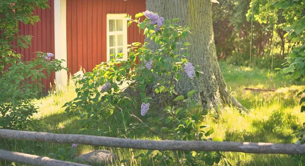 Gamla Traditionella Trä Hus Nära Skogen Utsikt Över Den Gröna — Stockfoto