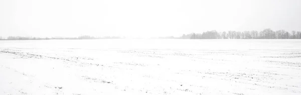 覆盖雪地的农田全景 土壤质地 概念冬季风景 边远地区 越野车 气候变化 — 图库照片