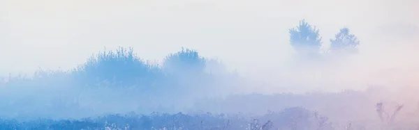 Prado Floresta Nascer Sol Luar Nevoeiro Neblina Céu Azul Claro — Fotografia de Stock