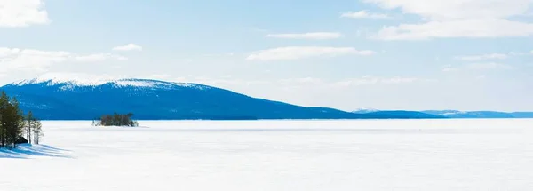 Pinheiros Jovens Lago Congelado Depois Uma Nevasca Dia Claro Picos — Fotografia de Stock