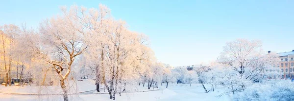 一个城市公园里阳光灿烂的冬日 冰封的里加运河 白雪覆盖的树木和房屋 拉脱维亚 — 图库照片