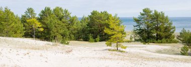 Güneşli bir günde Baltık Denizi kıyısı. Ruhnu Adası, Estonya. Yaz tatilleri, seyahat, çevre koruma teması