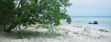 Güneşli bir günde Baltık Denizi kıyısı. Ruhnu Adası, Estonya. Yaz tatilleri, seyahat, çevre koruma teması