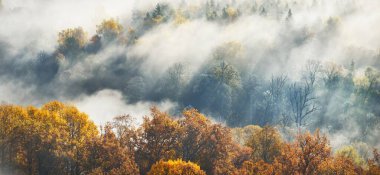 Renkli kırmızı, turuncu ve sarı ağaçların tepelerinin sabah sisi içinde görkemli yeşil bir ormanda nefes kesici panoramik manzarası. Peri sonbahar manzarası. Gauja Ulusal Parkı, Sigulda, Letonya