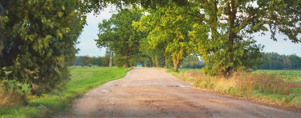 Camino Parque Forestal Luz Solar Suave Paisaje Atmosférico Verano Naturaleza — Foto de Stock