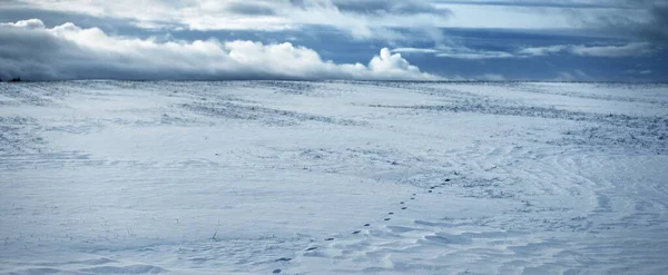 Vista Panoramica Del Campo Innevato Dopo Una Bufera Neve Tramonto — Foto Stock