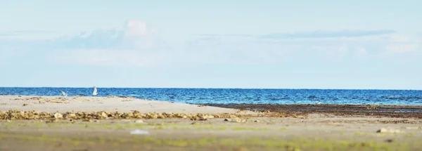 Östersjön Stranden Solig Dag Ruhnu Estland Sommarsemester Resor Miljövård Tema — Stockfoto