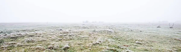 Parcours Travers Champ Dans Épais Brouillard Blanc Froid Première Neige — Photo