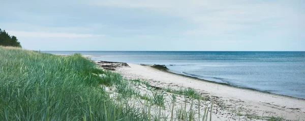 Östersjön Stranden Solig Dag Ruhnu Estland Sommarsemester Resor Miljövård Tema — Stockfoto