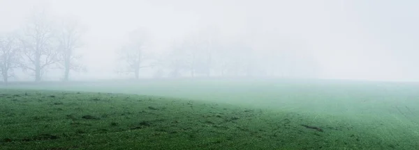 Osamělé Stromy Oraném Poli Husté Bílé Ranní Mlze Atmosférická Krajina — Stock fotografie