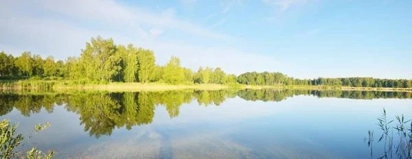 Panorámás Kilátás Nyílik Tóra Egy Zöld Nyírfa Erdőben Homokos Part — Stock Fotó