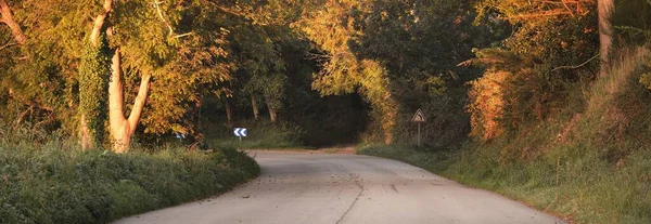 一条蜿蜒穿过森林的空旷的公路 法国布列塔尼秋天的颜色风景如画 旅行目的地 危险驾驶概念 — 图库照片