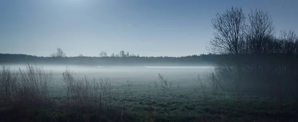 Chiaro Cielo Blu Sopra Prato Verde Foresta Campo Tramonto Crepuscolo — Foto Stock