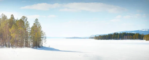 Mladé Borovice Zamrzlé Jezero Bouři Jasného Dne Horské Vrcholy Pozadí — Stock fotografie