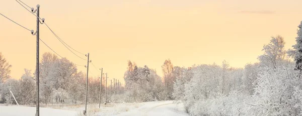 日落时覆盖着积雪的森林乡村道路的全景 松树树 金色的阳光冬天的仙境电力线路特写 越野旅行 偏远乡村 — 图库照片